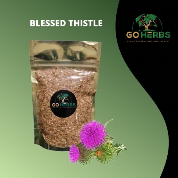 Blessed Thistle