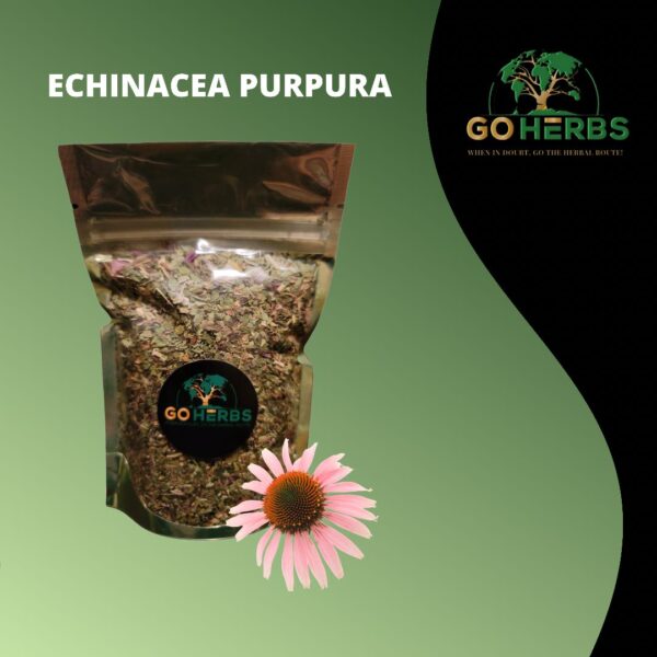 Echinacea Purpura 2 oz