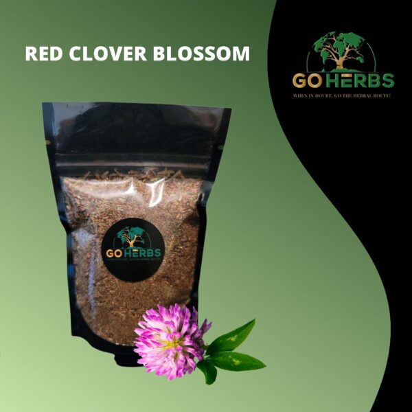 Red Clover Blossom